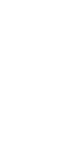 UNDP